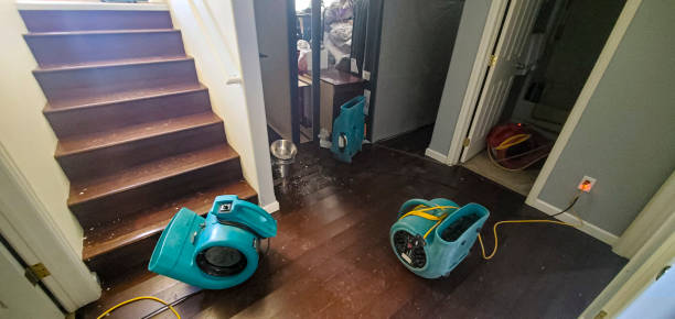 Best Sewage cleanup and water damage restoration  in Exeter, PA