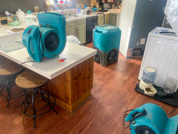Best Water damage mitigation services  in Exeter, PA
