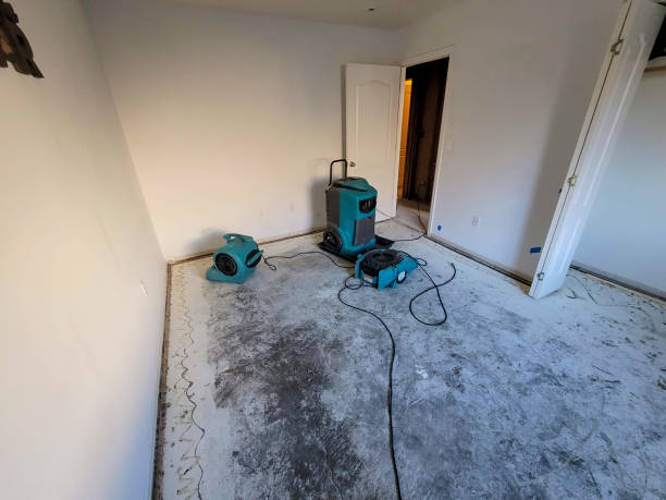 Best Water damage restoration near me  in Exeter, PA