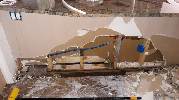Best Local water damage restoration  in Exeter, PA