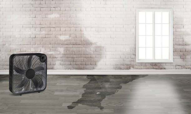  Exeter, PA Water damage restoration Pros