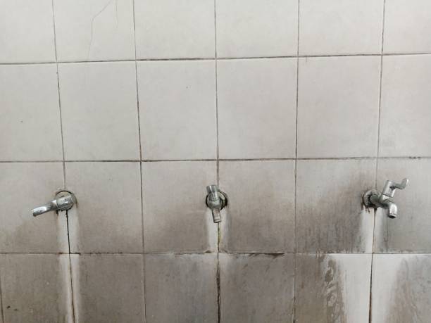 Best 24/7 water damage repair  in Exeter, PA