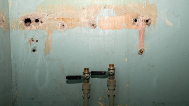 Best Water damage restoration specialists  in Exeter, PA