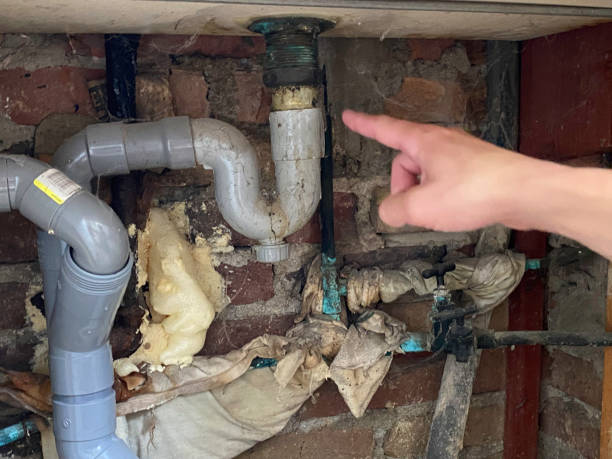 Best Water damage cleanup near me  in Exeter, PA